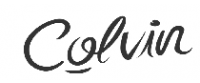 Кэшбэк в Colvin ES