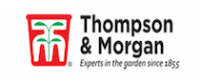 Кэшбэк в Thompson & Morgan UK