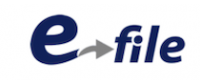 Кэшбэк в E-File US