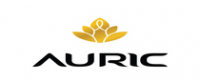 Кэшбэк в Auric IN
