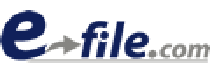 Кэшбэк в E-file Tax Returns US