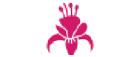 Кэшбэк в Fuchsia US