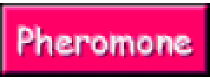 Кэшбэк в eroscape DE