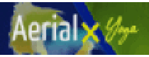 Кэшбэк в AerialX DE