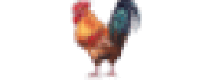 Кэшбэк в Chicken Coop Company US