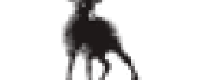 Кэшбэк в Nordic Sheep (NO)