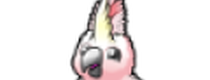 Кэшбэк в cockatoo.com