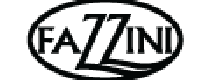 Кэшбэк в Fazzini IT