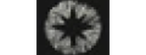 Кэшбэк в northspore.com US