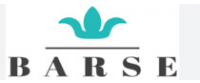 Кэшбэк в Barse Jewelry US