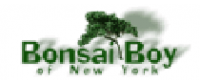 Кэшбэк в Bonsai Boy of New York US
