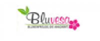 Кэшбэк в Bluvesa DE