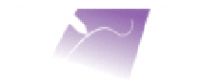Кэшбэк в Electronic Whiteboards Warehouse US
