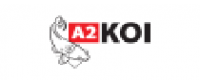 Кэшбэк в A2koi NL