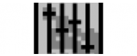 Кэшбэк в DJSoft.net - djsoft.net US
