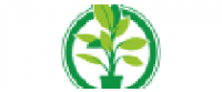 Кэшбэк в Plantje NL