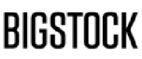 Кэшбэк в Bigstock DE