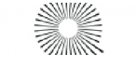 Кэшбэк в The Qi Lifestyle Inc US