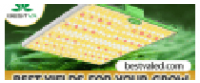 Кэшбэк в BESTVA US