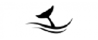 Кэшбэк в gymdolphin US