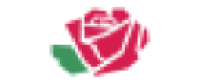 Кэшбэк в Sallyrose US