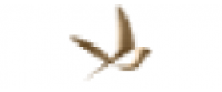 Кэшбэк в The Free Spirits Company, LLC US