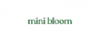 Кэшбэк в MiniBloom US
