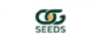Кэшбэк в OG Seeds US