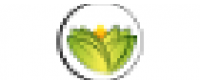 Кэшбэк в The Ayurveda Experience [CPS] IN 2