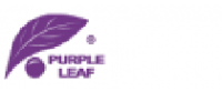 Кэшбэк в PURPLE LEAF US