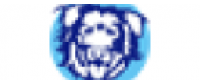 Кэшбэк в YUCKY PUPPY US