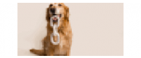 Кэшбэк в Reese + Murphy LLC US