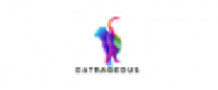 Кэшбэк в Catrageous US