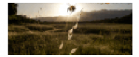 Кэшбэк в HoneyColony US
