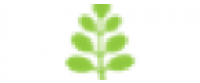 Кэшбэк в Kuli Kuli Foods US