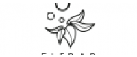 Кэшбэк в elfbar.co.uk GB
