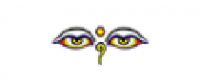Кэшбэк в EFE GLASSES US