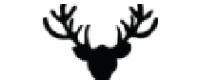 Кэшбэк в Taxidermy LLC US