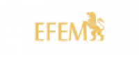 Кэшбэк в EFEM ES