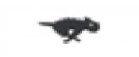 Кэшбэк в Rocket Dog US