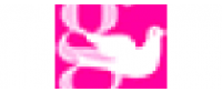 Кэшбэк в Girl Nation US