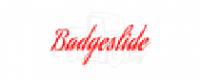 Кэшбэк в badgeslide US