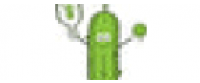 Кэшбэк в Big Dill Pickleball Co US