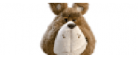 Кэшбэк в PLUSH PL 2