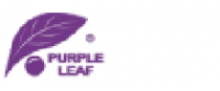 Кэшбэк в Purple Leaf