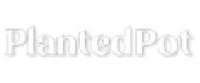 Кэшбэк в Holista LLC US