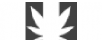 Кэшбэк в Dasy LLC US