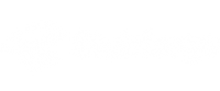 Кэшбэк в Stubforge