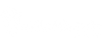 Кэшбэк в StitchLeash US