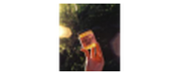 Кэшбэк в Black Bee Honey UK GB